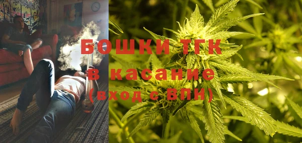 стафф Кулебаки